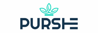 purshe logo